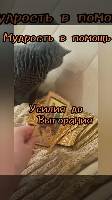 1 июня.
Карта дня Таро.

ДЕСЯТКА ЖЕЗЛОВ. 

♣️♣️♣️♣️
Обережный цвет-
Красный .
♥️♥️♥️♥️
Число удачи
♣