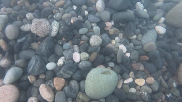 В море с головой
