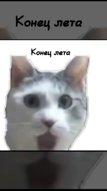 ураааа летоо🍉
