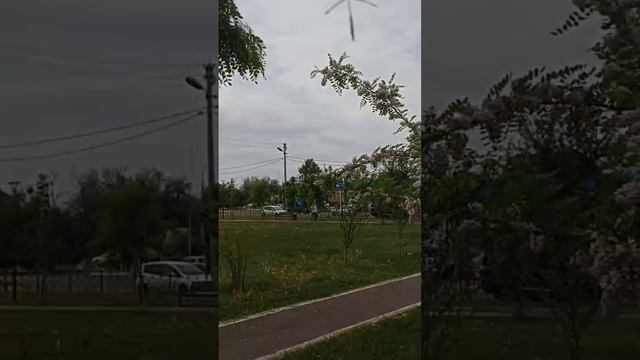 Созерцание Красоты Природы