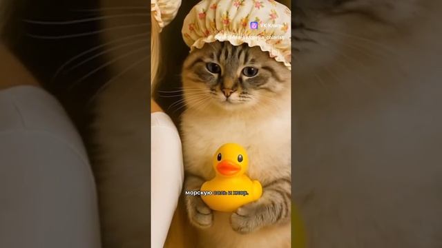 сохрани блонд!