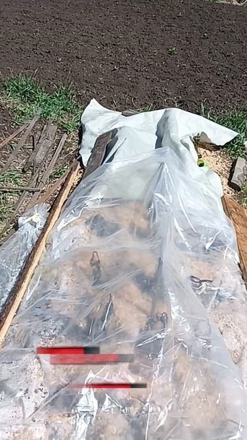 Пару часов уничтожило три месяца трудов