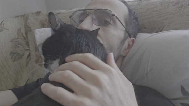 Обнимашки с котом Феликсом