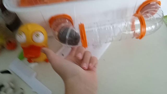 пхпхпх