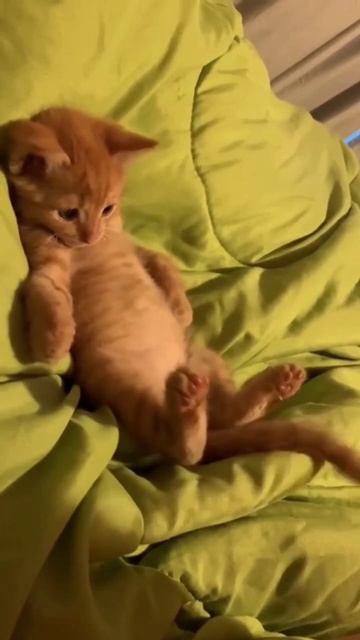 Всё равно тебя поймаю😉😼😏🤭