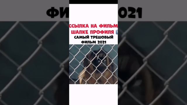 Голос в её голове Спас Жизнь Ребёнку, а Затем.