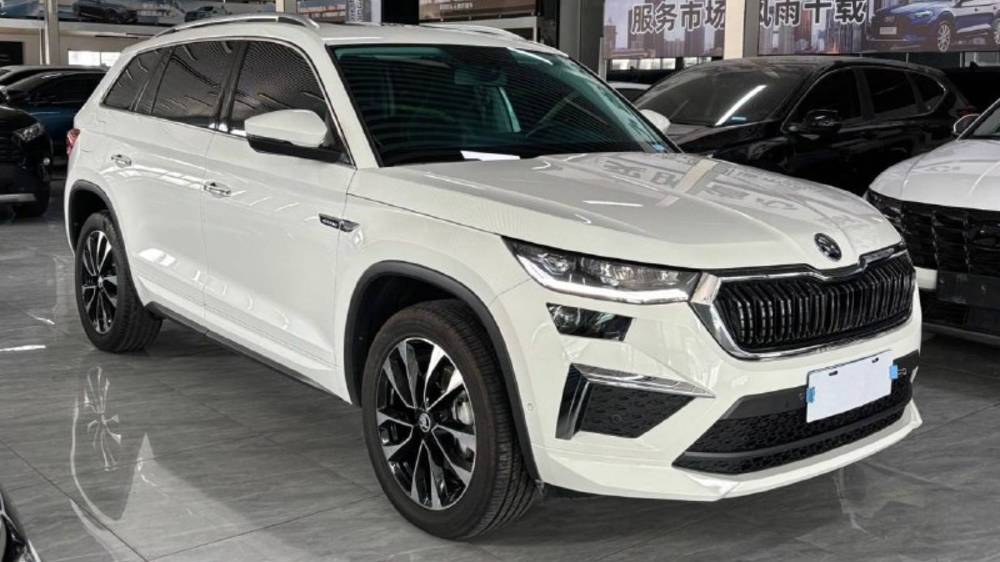 SKODA KODIAQ из Китая 🇨🇳