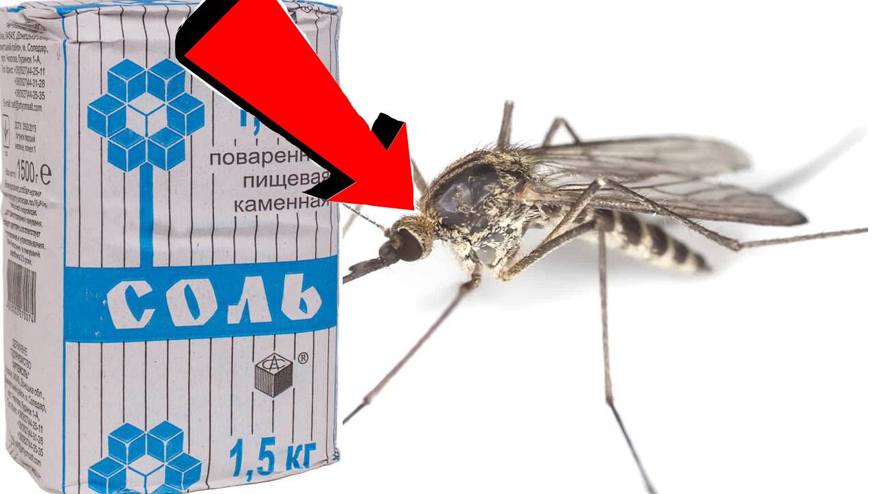 Как избавиться от комаров За 3 Секунды...!!..!!..!!