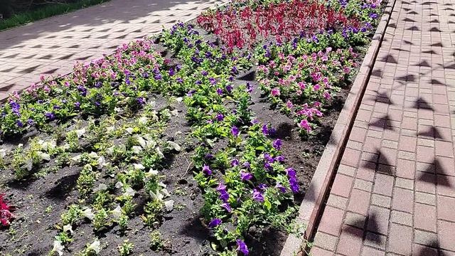 Вся прелесть города Тамбова)))