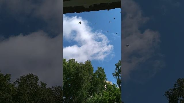 самолеты над нашим домом