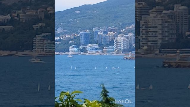 1000081411.mp4