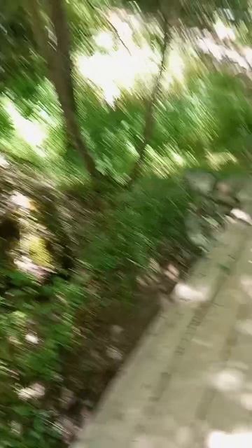 scene_output.mp4