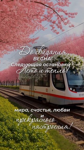 Привет, Лето ☀️