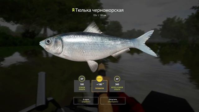 Русская рыбалка 4. Троллинг на реке Северский Донец