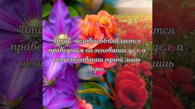 VID_20250601_060008_090.mp4