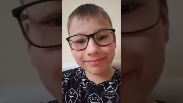 О моих домашних животных
