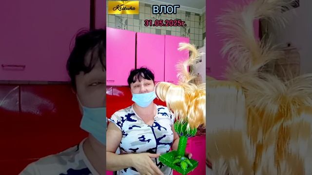 ВЛОГ