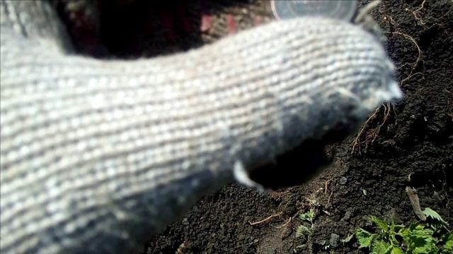 3 день в деревне. металлокоп и приключение. Старое видео