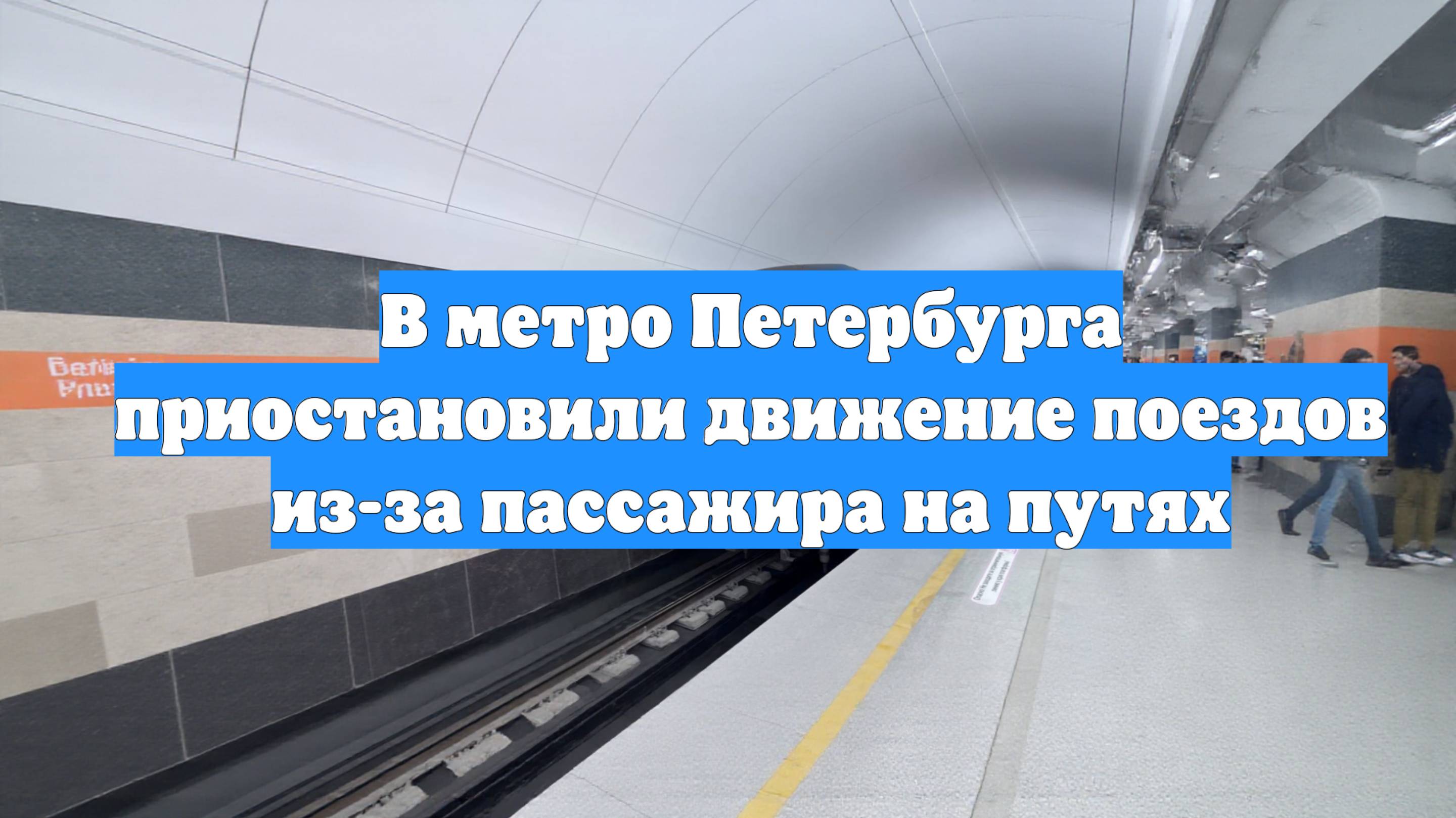 В метро Петербурга приостановили движение поездов из-за пассажира на путях