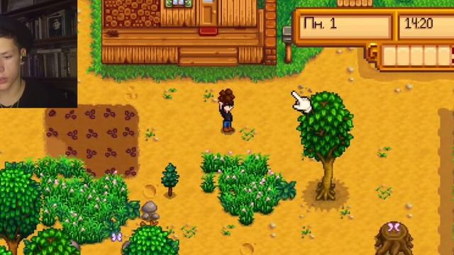 Знакомство с местными. Stardew Valley #2