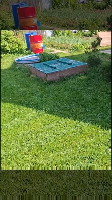 1000025220.mp4 (Собака наблюдает за стрижкой газона у дома А- фрейм)