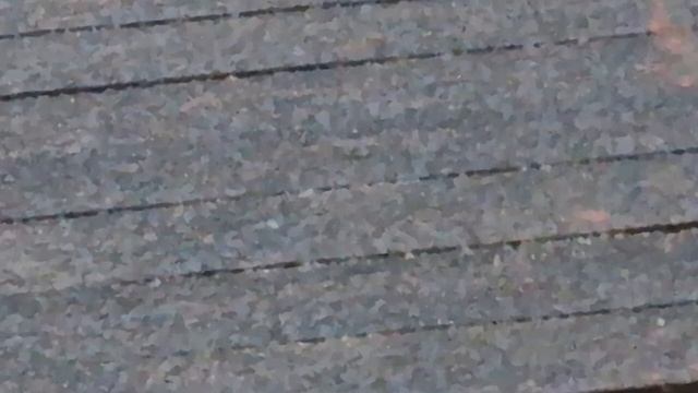Водоем" Белый Лис" Чемпионат г. Пензы. Апрель 2025.