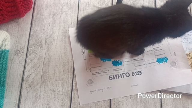 🧶Бинго 2025 🧶 Отчет весны. 🧶