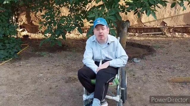 Сделали полив огорода, выбиваем половики, написал депутату и пришёл кот.