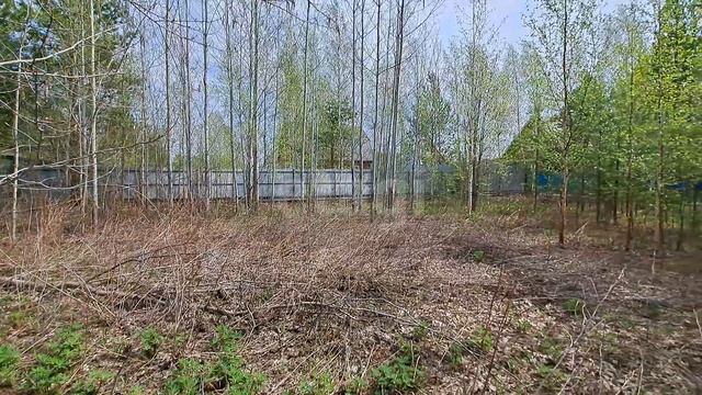 5831701 ПСК Ветеран-2