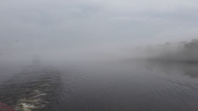 10. Туман (2)