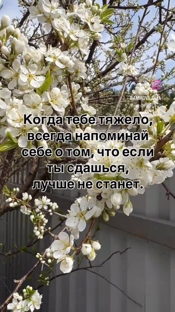 Мудрые советы