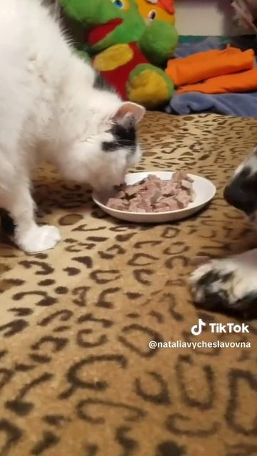 Кто не работает -  тот ест...)))