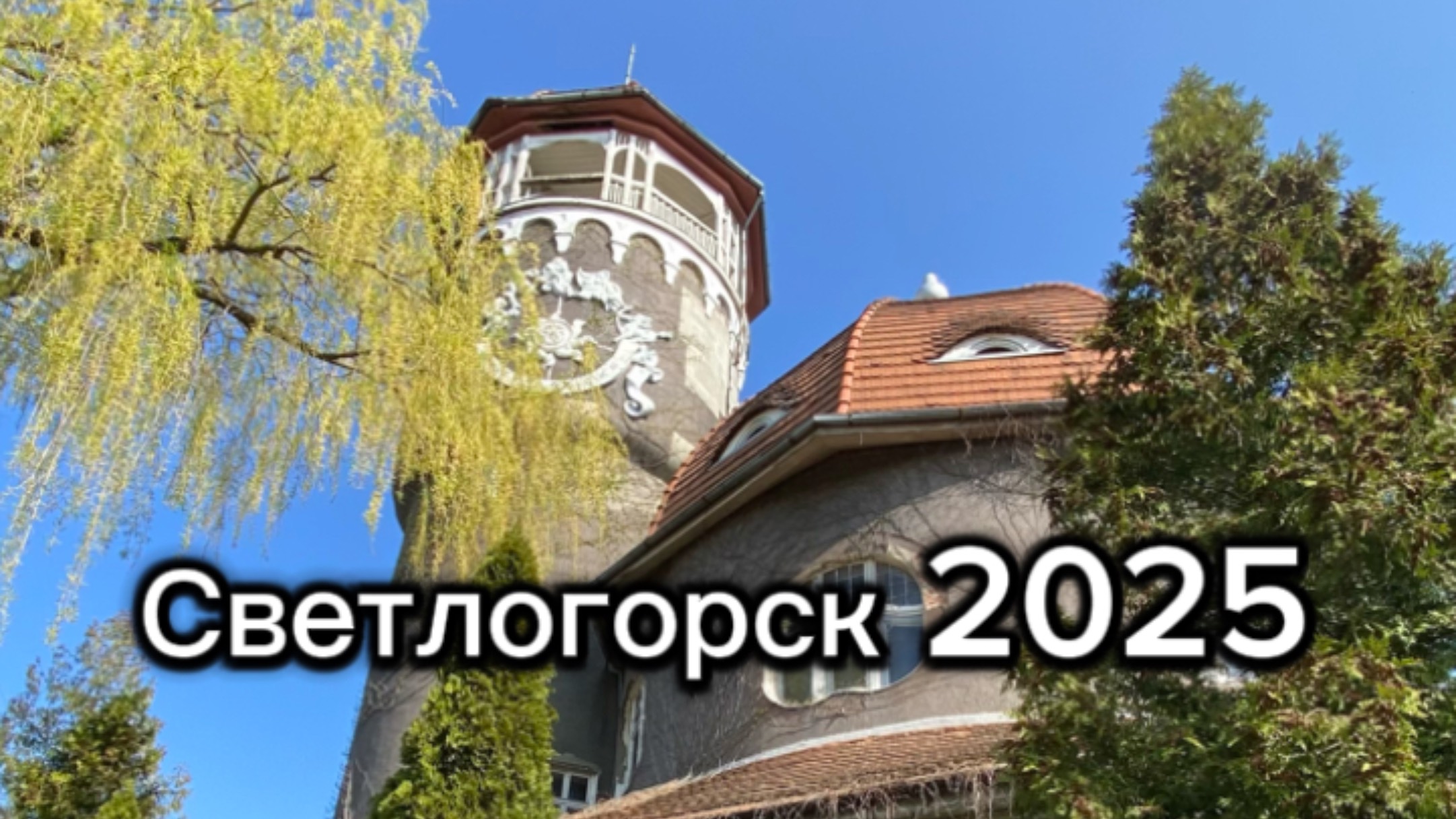 Светлогорск