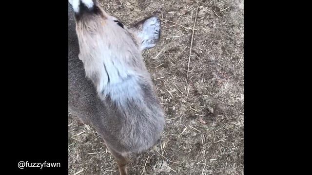 How Burger Commercials Are Made