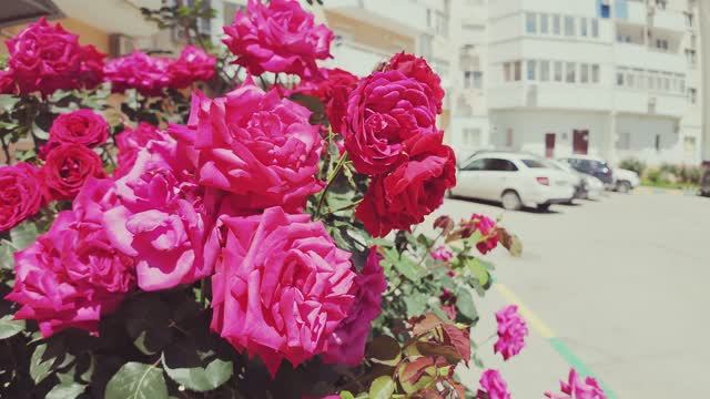 Квартира у моря в г. Новороссийск, Южный район