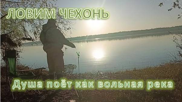 Душа поёт как вольная река. Здесь только Я и Мои друзья!  Ловим чехонь.