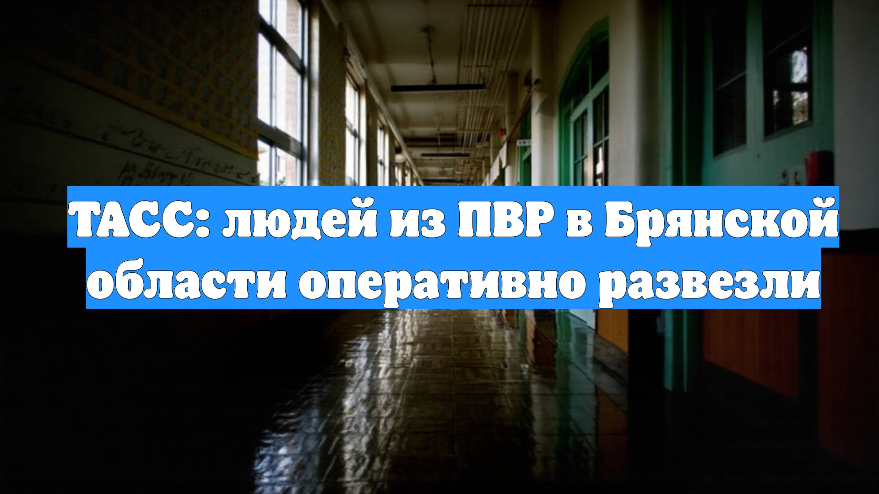 ТАСС: людей из ПВР в Брянской области оперативно развезли