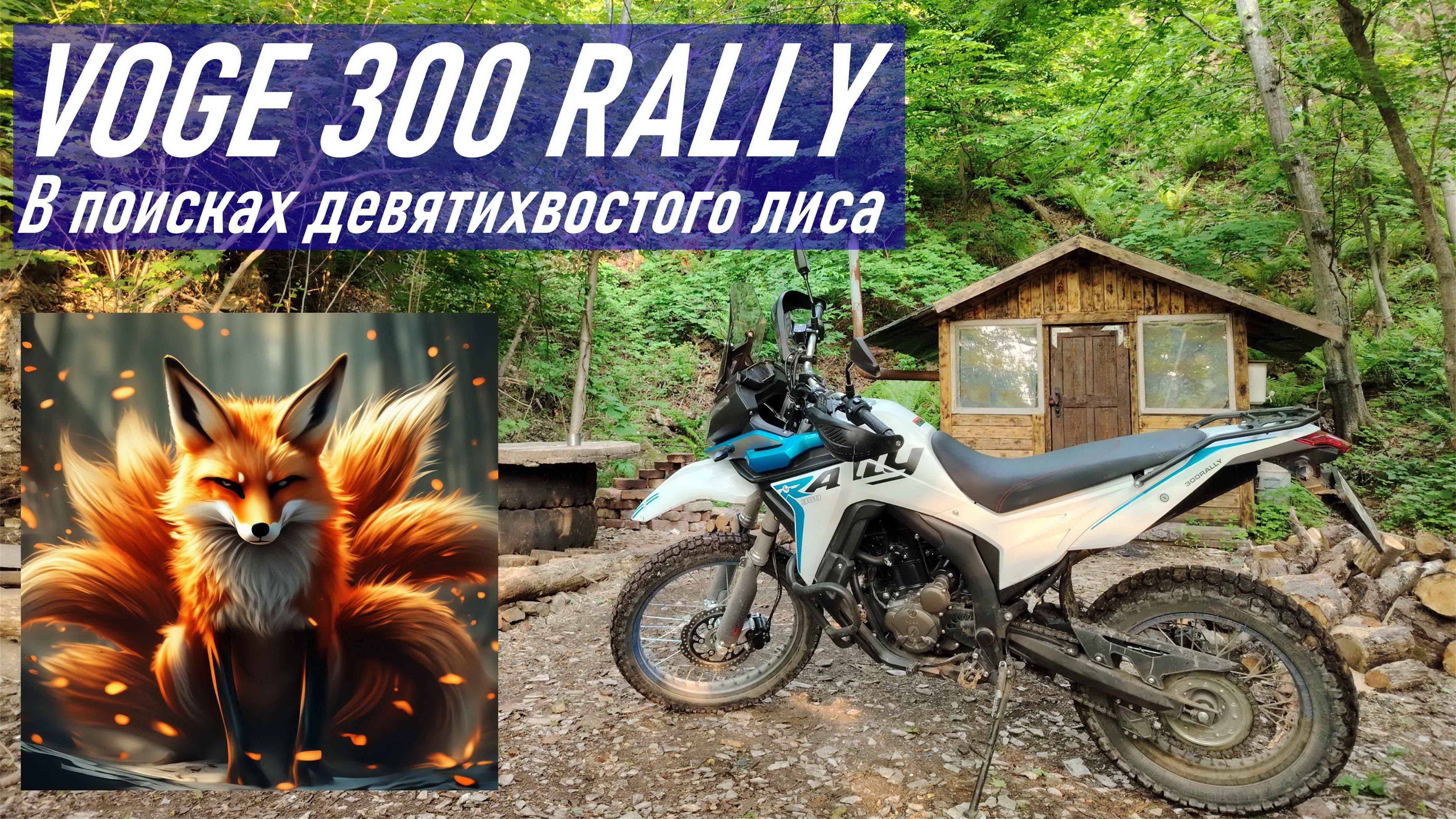 VOGE 300 RALLY / В поисках девятихвостой лисы Кумихо 九尾狐 / Старая лесная дорога на п. Шигино