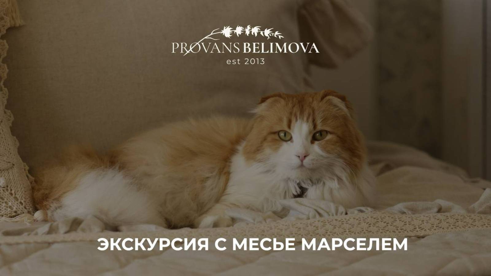 В нашей центральной студии есть особенный житель -
Кот Марсель 🐈