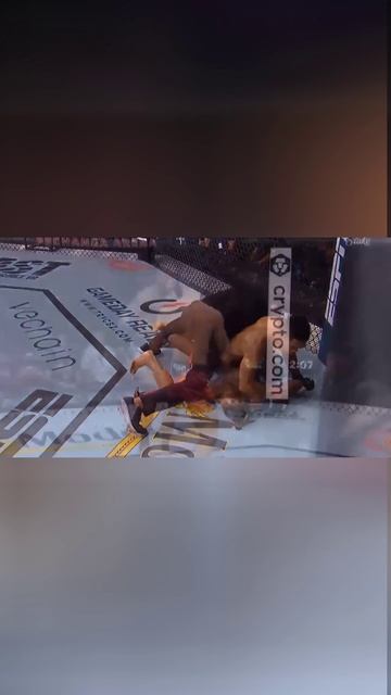 Лучшие нокауты Подпишись и ставь лайк #ufc #mma #youtube #sports #tiktok #shortsvideo #russia #box