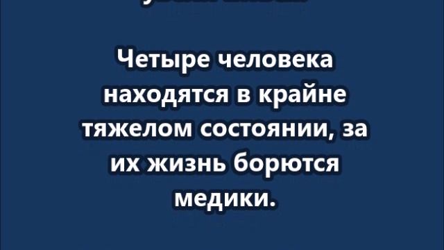 В результате ЧП с поездом в Брянской области  погибли все члены локомотивной бригады