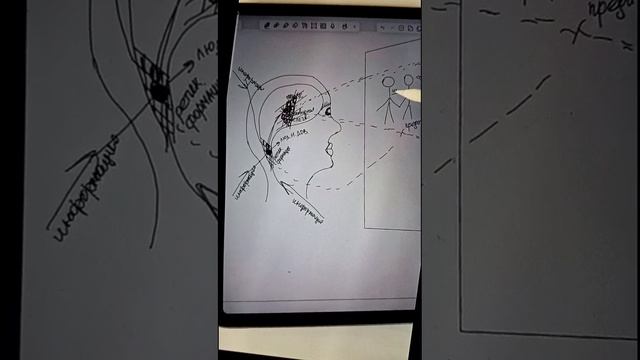 VID_20250529_114624_729.mp4