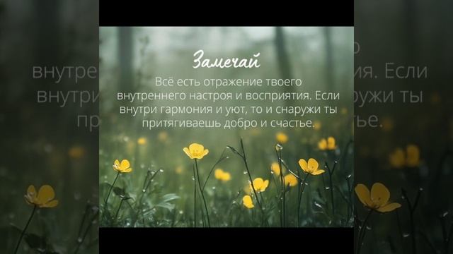 Мудрые цитаты,помогающие жить!!!