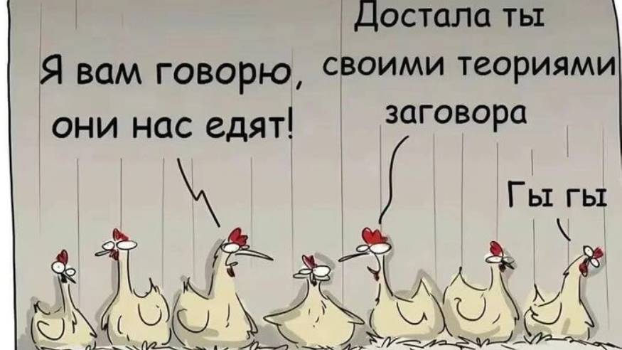 самодельный курятник