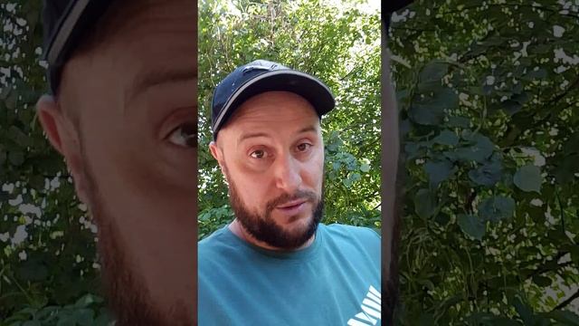 Зеленский то не настоящий