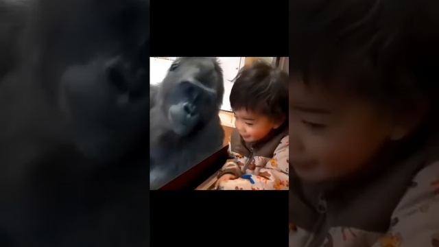 #shorts.mp4