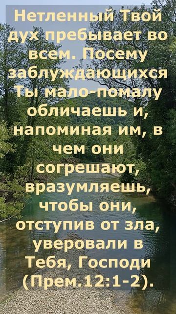 прем 12(1-2).mp4