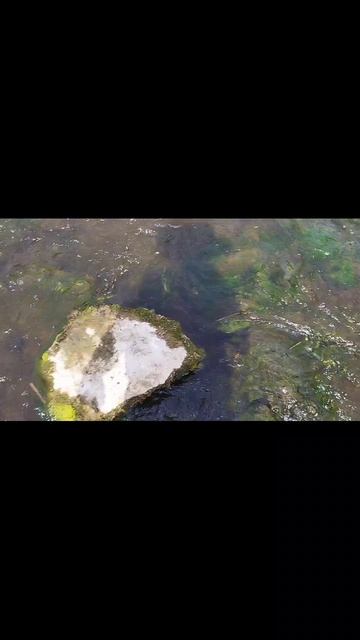 водопад на реке Ранова