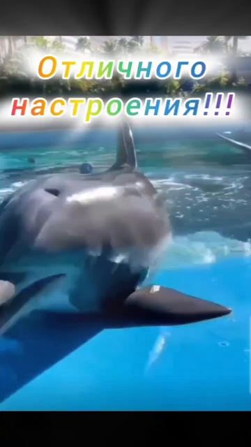 Отличного Настроения !