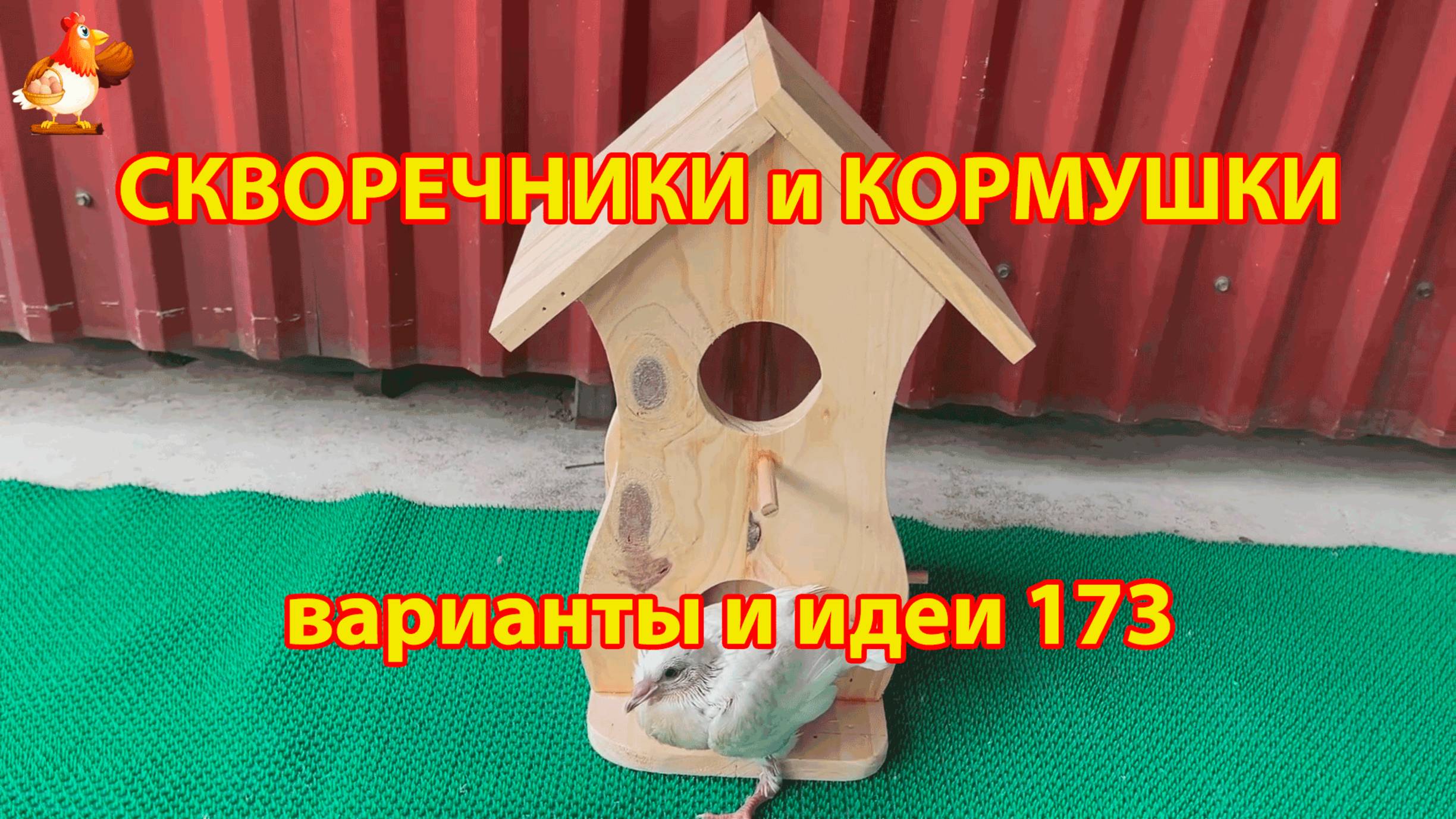 Скворечники и кормушки своими руками для птиц (173) 🪚🪛🔨 Идеи для дачи и сада пошагово ❣️